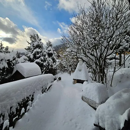 Górski W Lipowej W Beskidzie żywieckim Lipowa