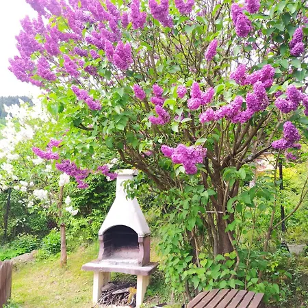 Górski W Lipowej W Beskidzie żywieckim Alojamento de Turismo Selvagem