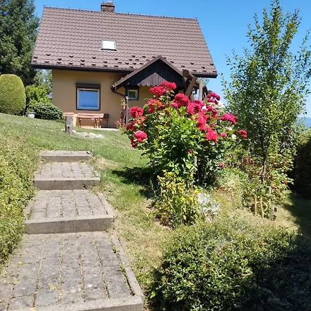 Górski W Lipowej W Beskidzie żywieckim Lipowa