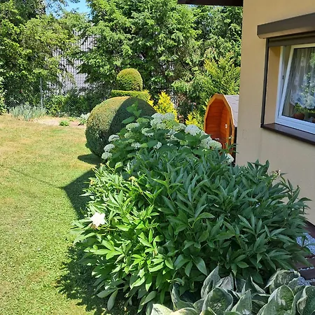 Alojamento de Turismo Selvagem Górski W Lipowej W Beskidzie żywieckim *