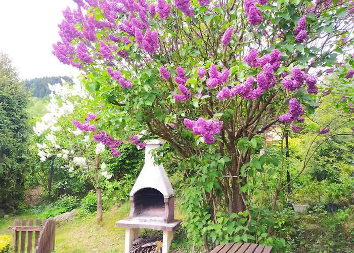 Gorski Z Sauna W Sercu Beskidow! Chata